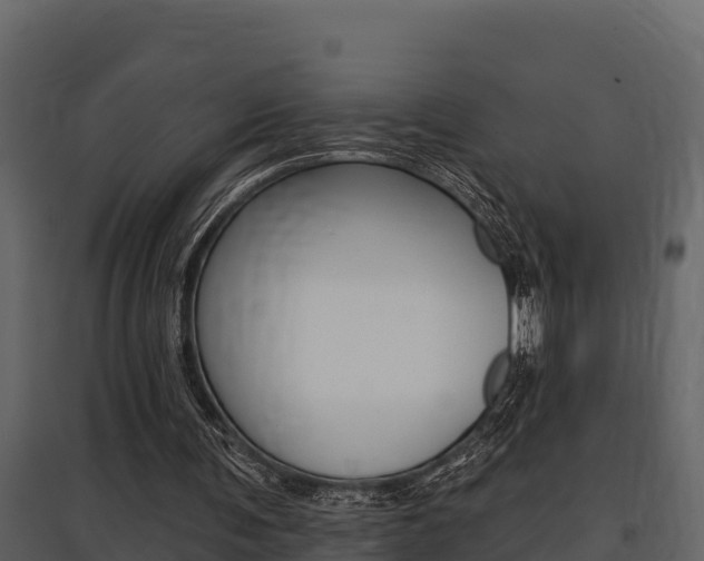 X0000097810291200803140805