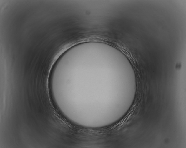 X0000097810292200803140805