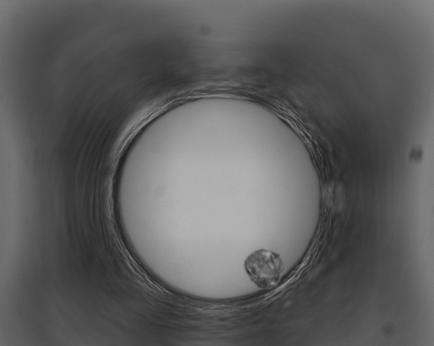 X0000097810293200803140805