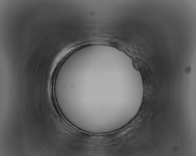 X0000097810294200803140805