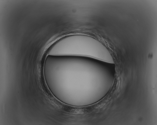 X0000097810295200803140805