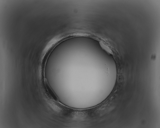 X0000097810296200803140805