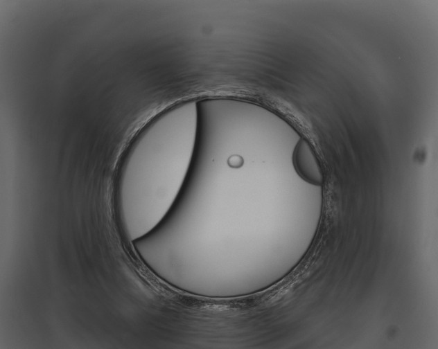 X0000097810298200803140805