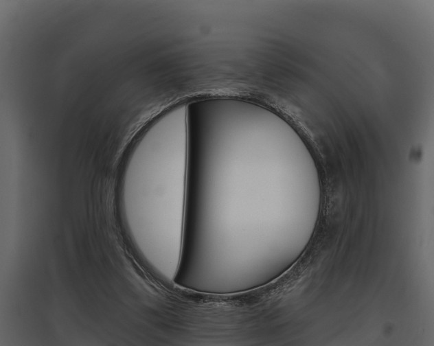 X0000097810299200803140805