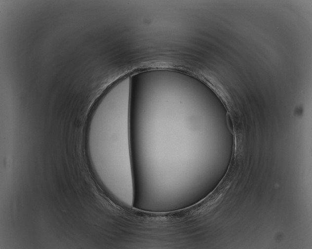 X0000097810301200803140805