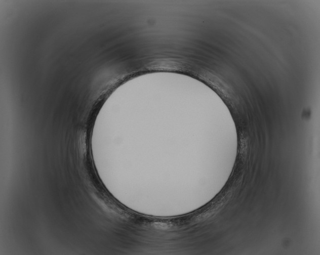 X0000097810302200803140805