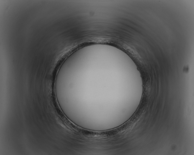 X0000097810303200803140805