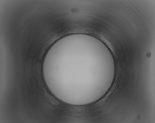X0000097810305200803140805