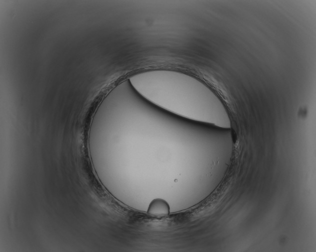 X0000097810306200803140804
