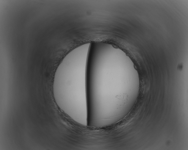 X0000097810307200803140804