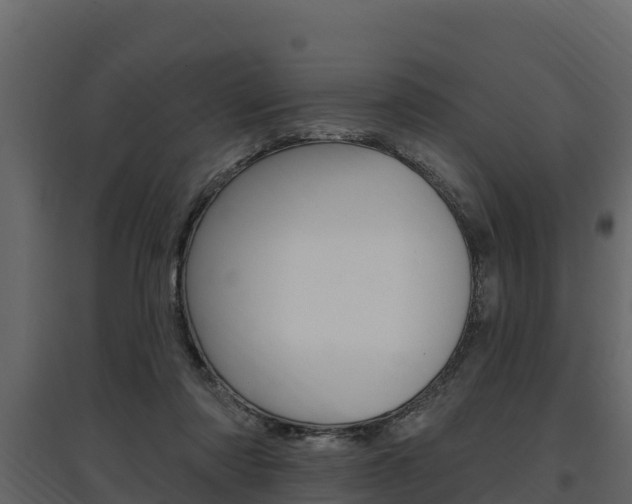 X0000097810310200803140804