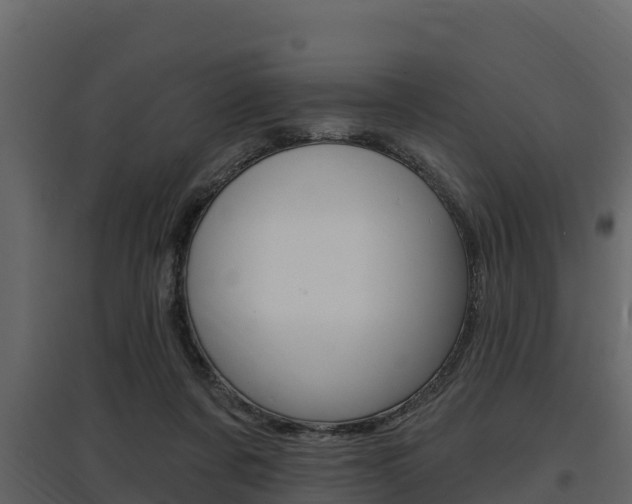 X0000097810311200803140804