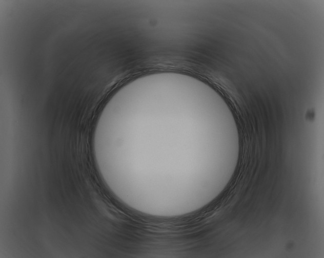 X0000097810312200803140804