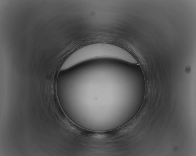 X0000097810313200803140804