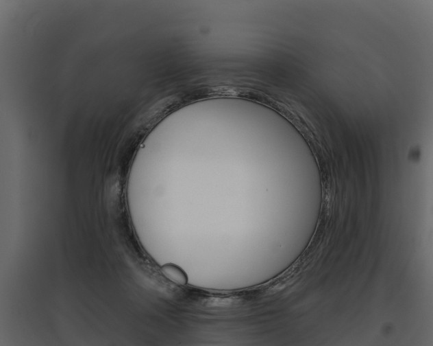 X0000097810314200803140804
