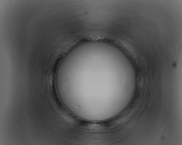 X0000097810315200803140804
