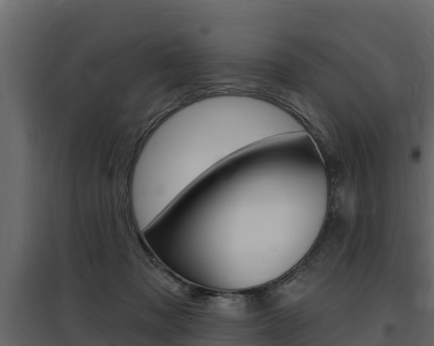 X0000097810317200803140804
