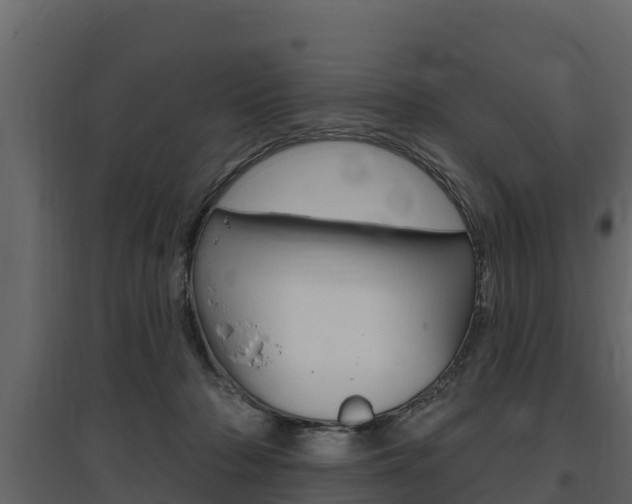 X0000097810318200803140804