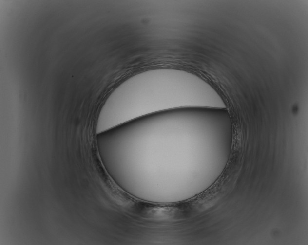 X0000097810323200803140804