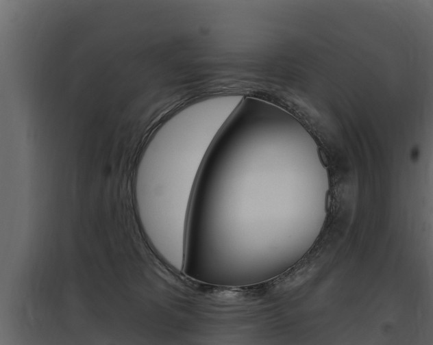 X0000097810325200803140804
