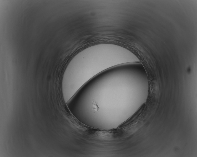 X0000097810327200803140804