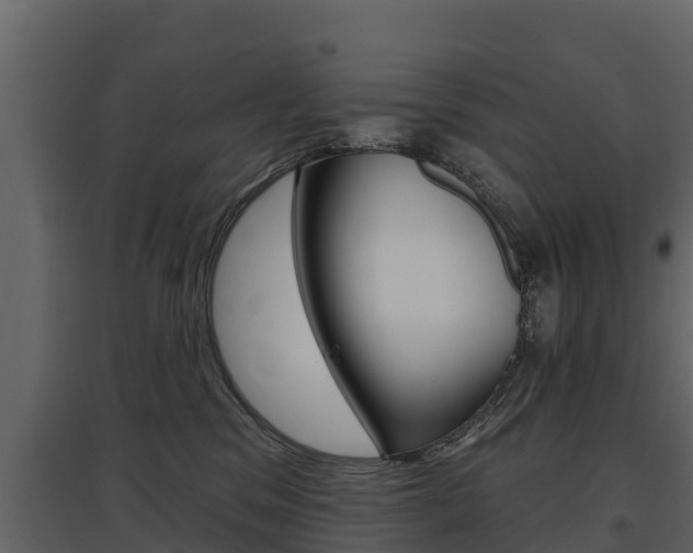 X0000097810329200803140804