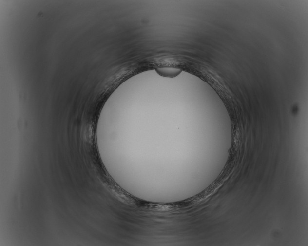 X0000097810330200803140804