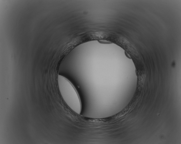 X0000097810331200803140804