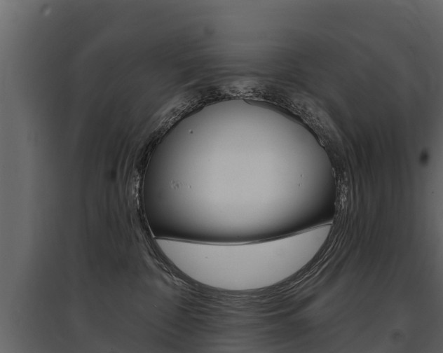 X0000097810332200803140804