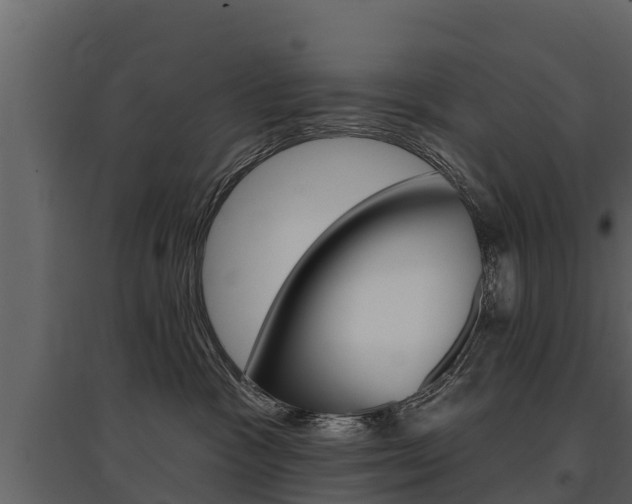 X0000097810333200803140804