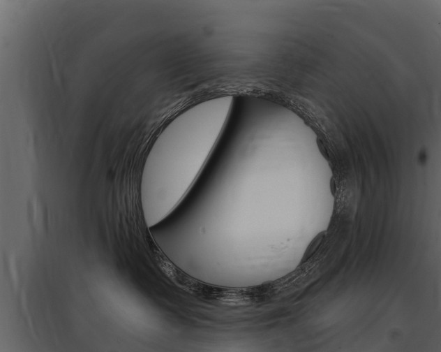 X0000097810335200803140804