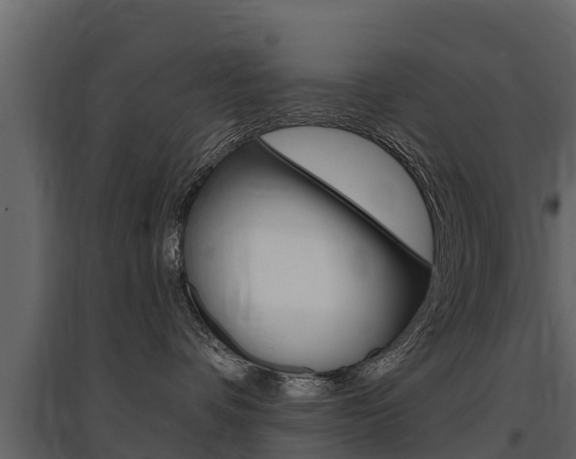 X0000097810336200803140804