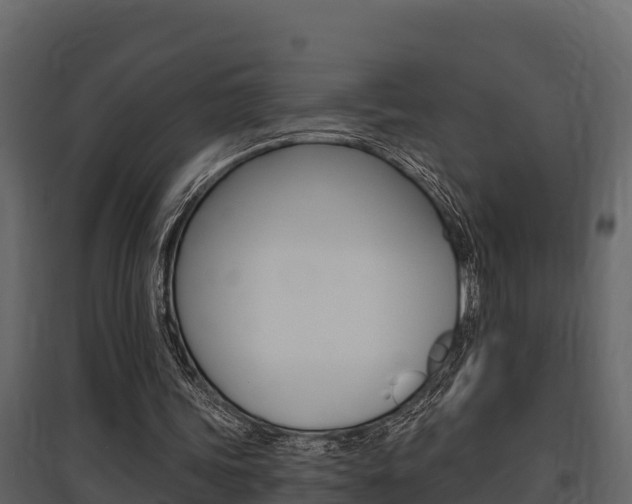 X0000097810339200803140803