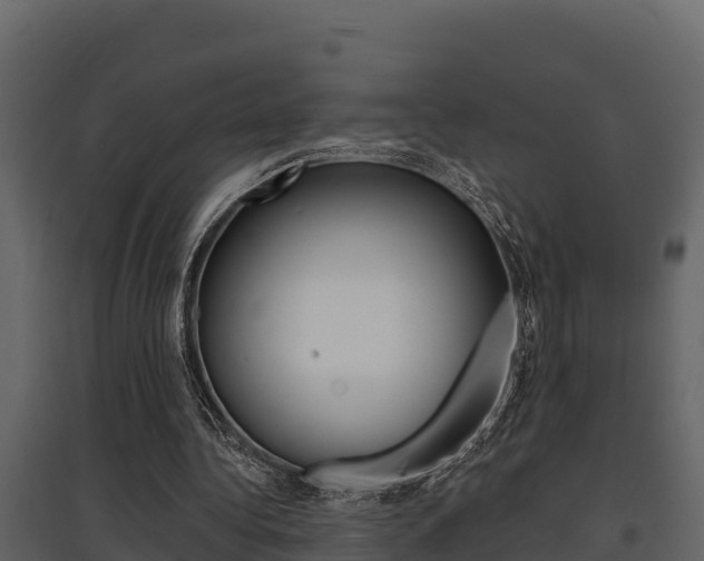 X0000097810340200803140803