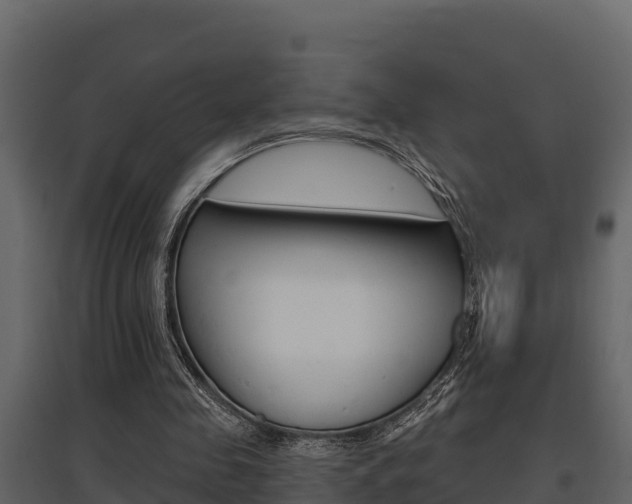 X0000097810341200803140803