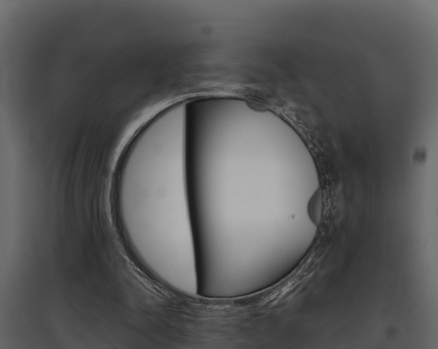 X0000097810342200803140803