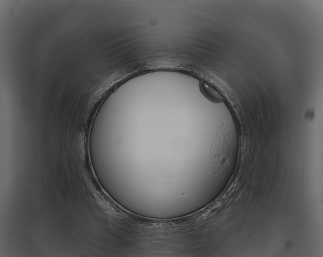X0000097810345200803140804