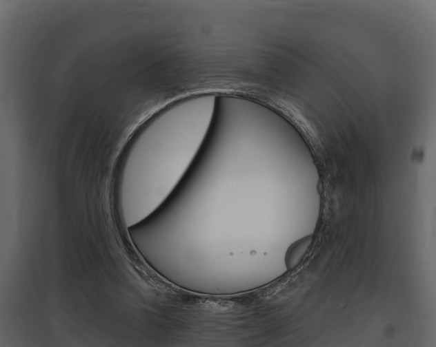 X0000097810346200803140804