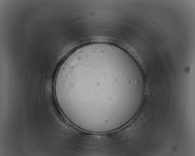 X0000097810347200803140804