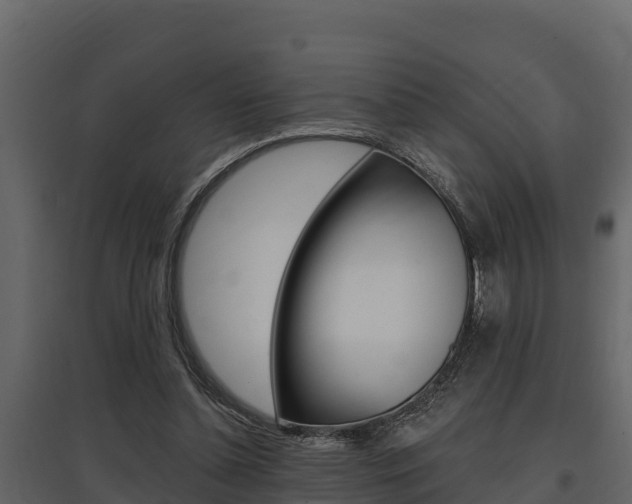 X0000097810348200803140804