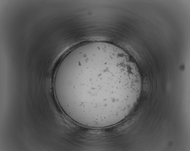 X0000097810351200803140804