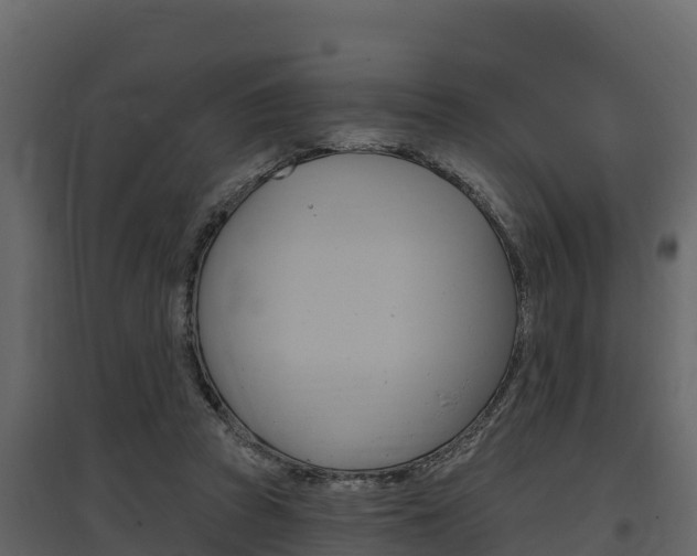 X0000097810353200803140804