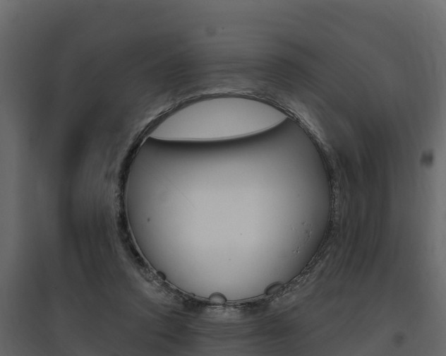 X0000097810354200803140804