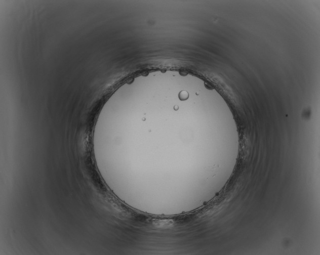 X0000097810355200803140804