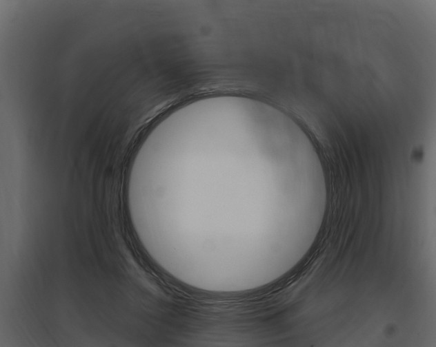 X0000097810356200803140804