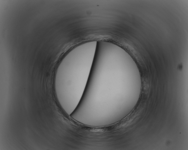 X0000097810357200803140804