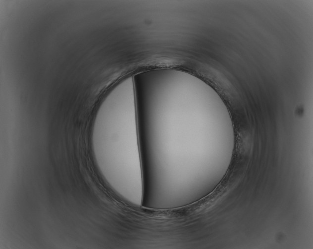 X0000097810358200803140804