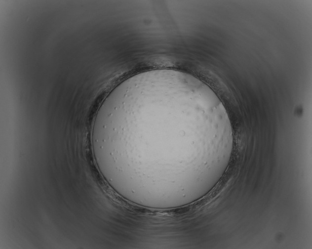 X0000097810359200803140804