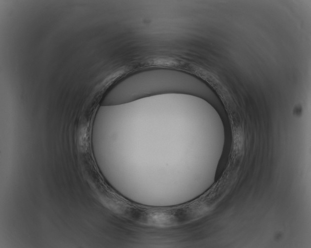 X0000097810360200803140804