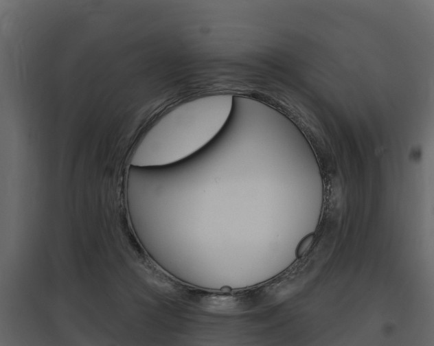 X0000097810361200803140804